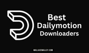 Best dailymotion downloaders