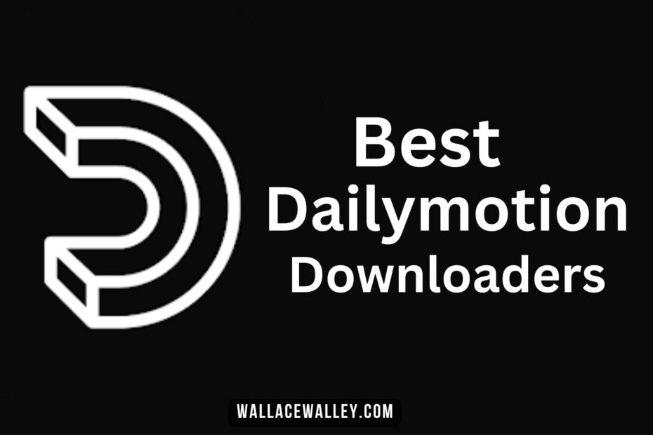 Best dailymotion downloaders